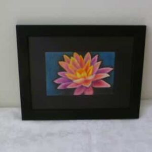 Image Water lily flower – original